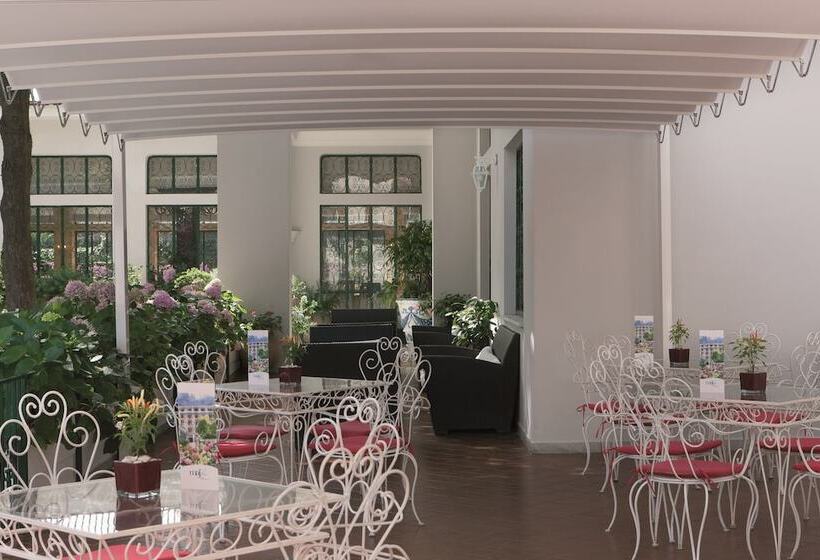 酒店 Majestic Palace