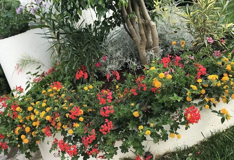 בית מלון כפרי Mediterraneo