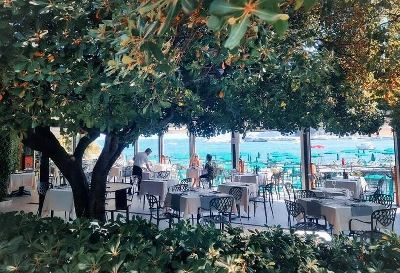 בית מלון כפרי Metropole