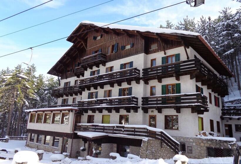 فندق Garnì Mille Pini