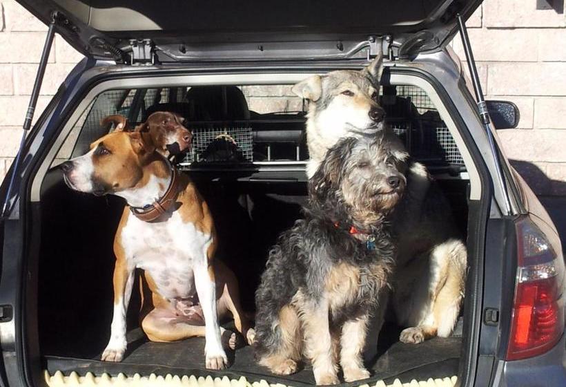 Отель Millefiori