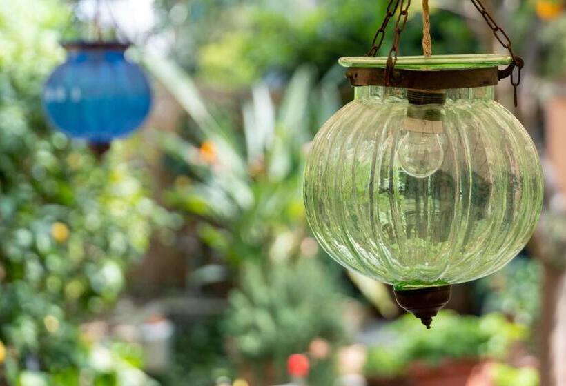 בית מלון כפרי Albergo Minerva