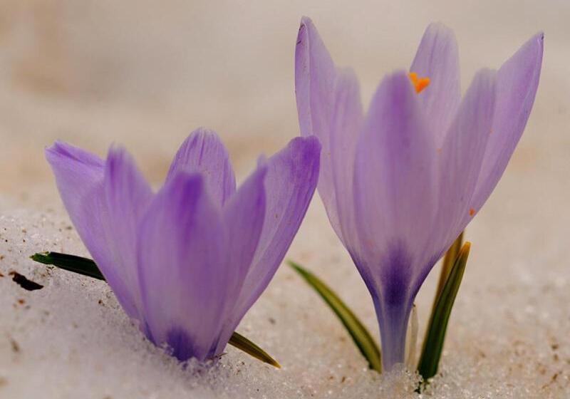 Отель Monaco Sport