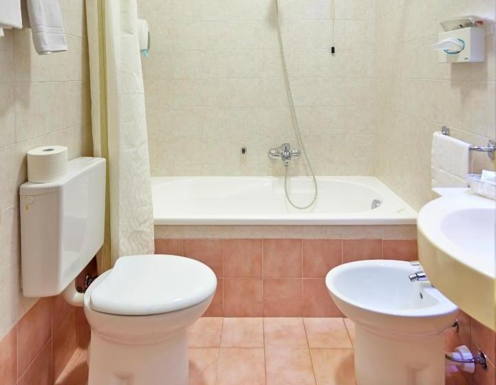 酒店 Napoleon Susa