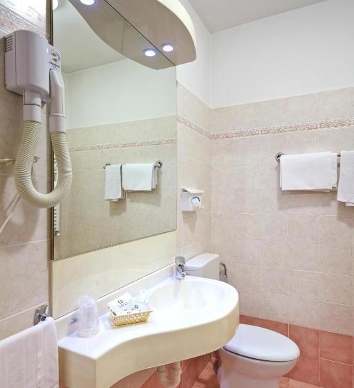 酒店 Napoleon Susa