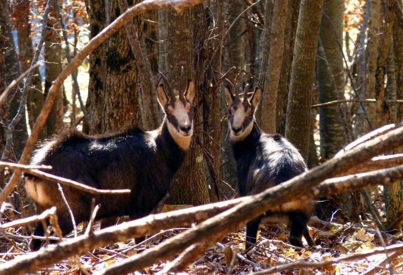 فندق Opinione Dimora Storica