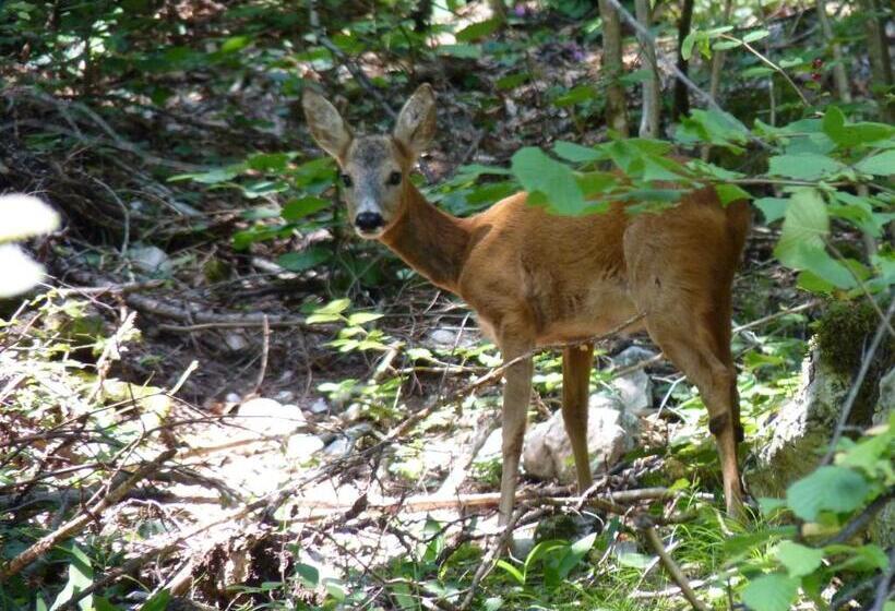 فندق Opinione Dimora Storica