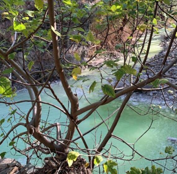 ホテル Parco Delle Rose