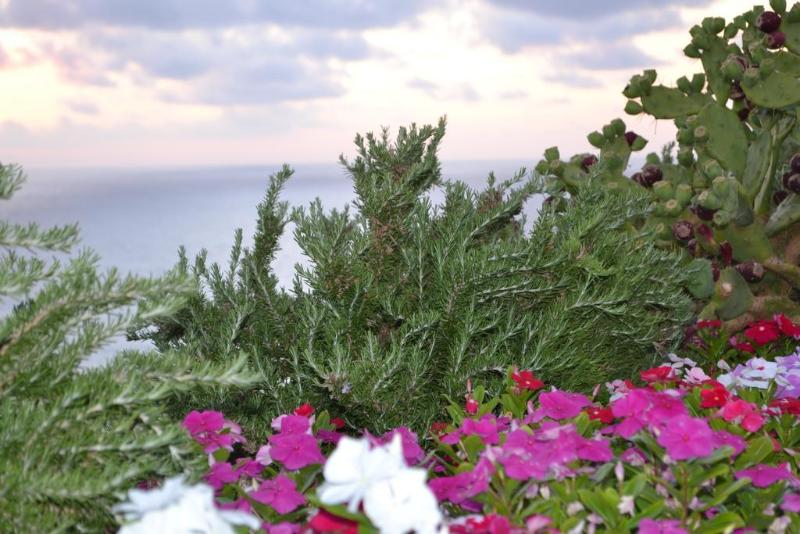 בית מלון כפרי Perla Del Golfo Resort