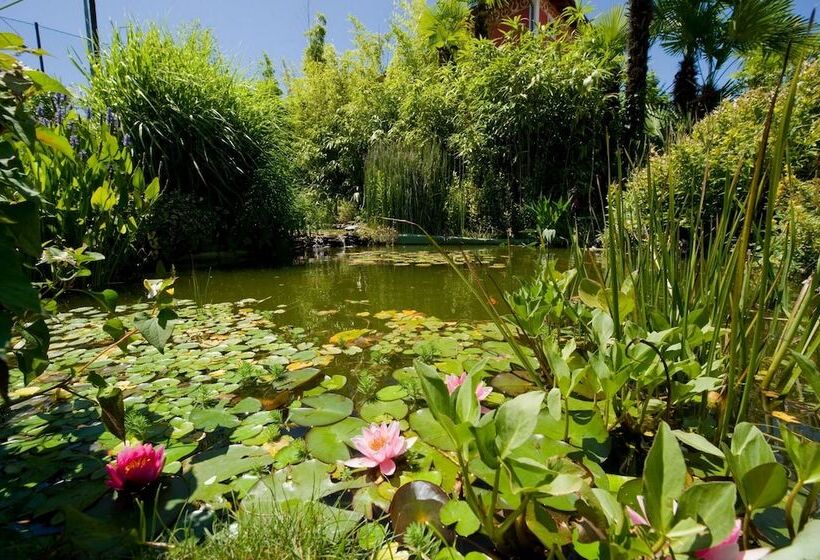 בית מלון כפרי Regina Palace