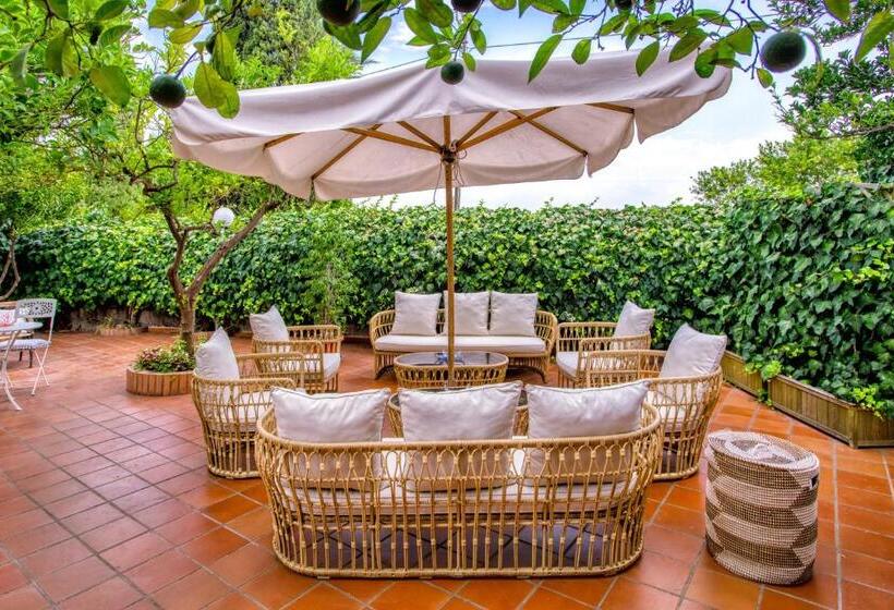 בית מלון כפרי Regina