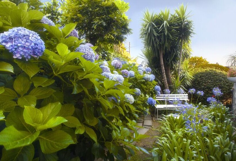 בית מלון כפרי Regina