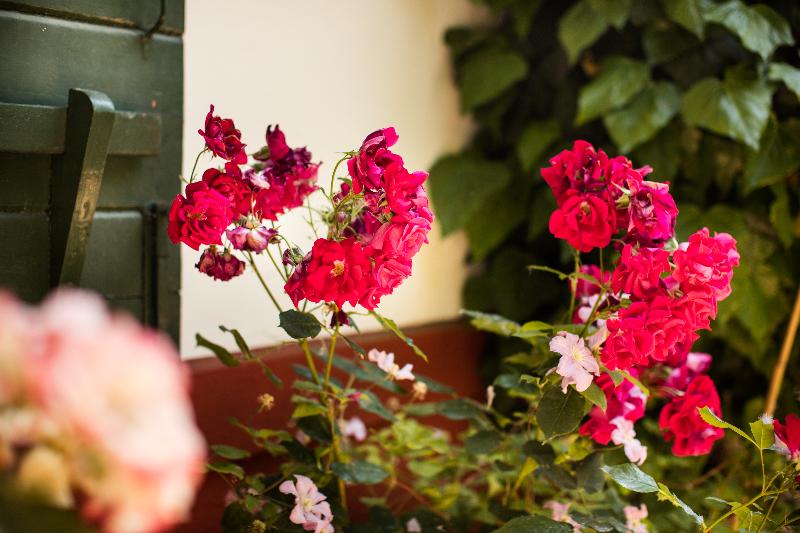 فندق Residenza D'epoca Albergo Quattro Fontane