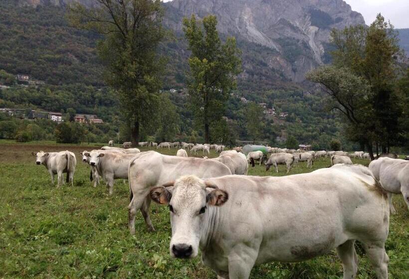 酒店 Ristorante Ligure