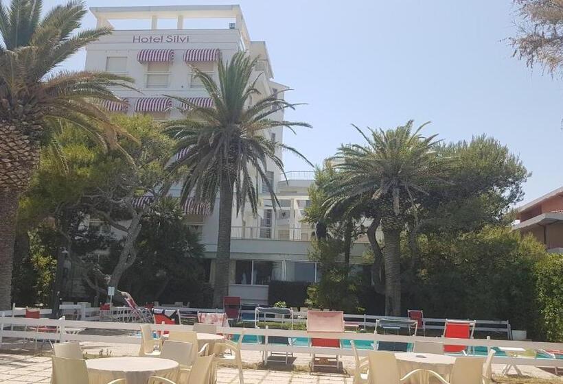 בית מלון כפרי Silvi