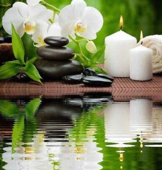 호텔 Tigullio Et De Milan