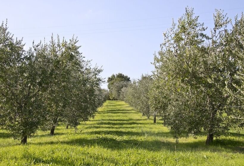Отель Villa Campestri Olive Oil Resort