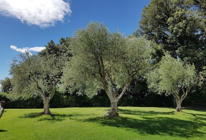 Отель Villa Nencini