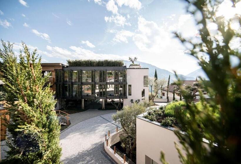 Spa & Relax Hotel Erika