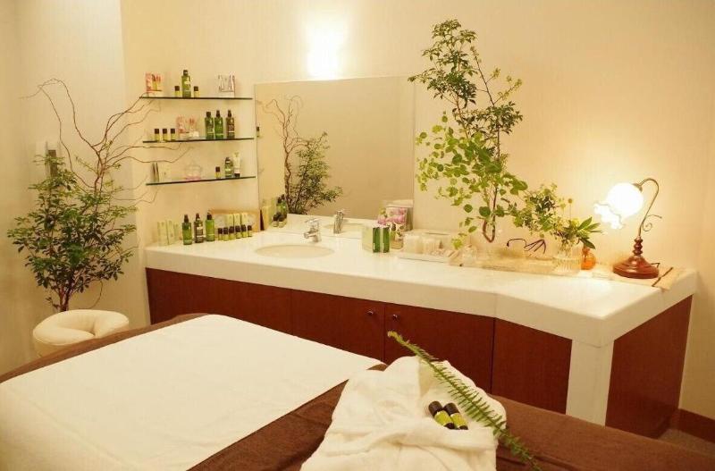 בית מלון כפרי Akita Castle