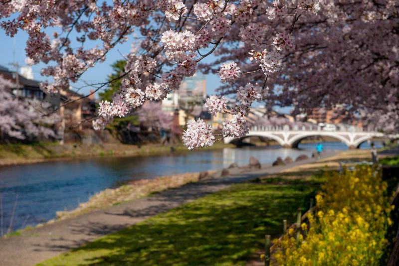 هتل Ana Crowne Plaza Kanazawa, An Ihg