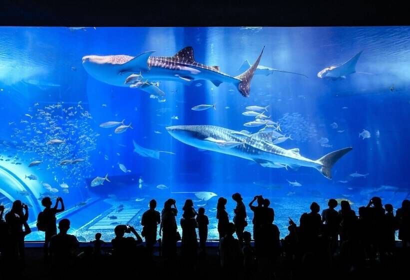 Отель Ana Intercontinental Manza Beach Resort, An Ihg