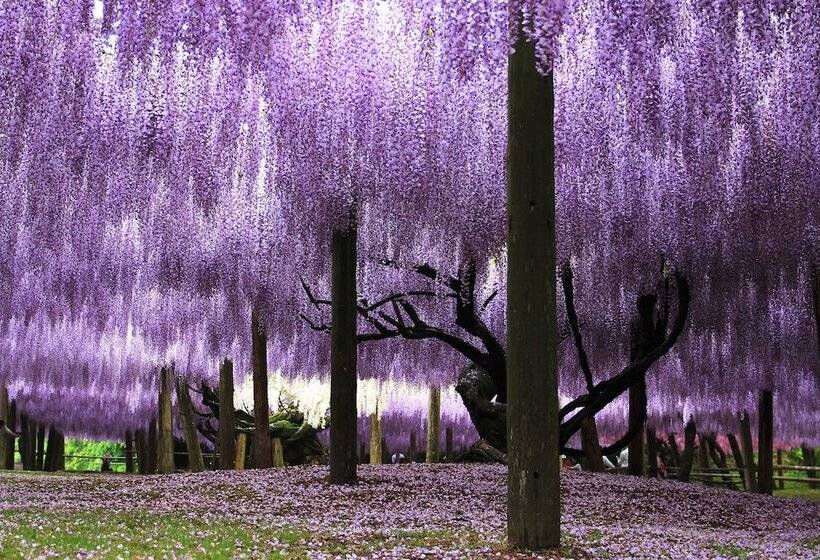 Art Hotel Kokura New Tagawa