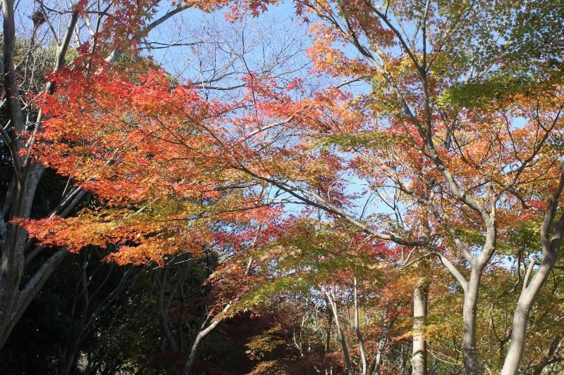 호텔 Concorde Hamamatsu