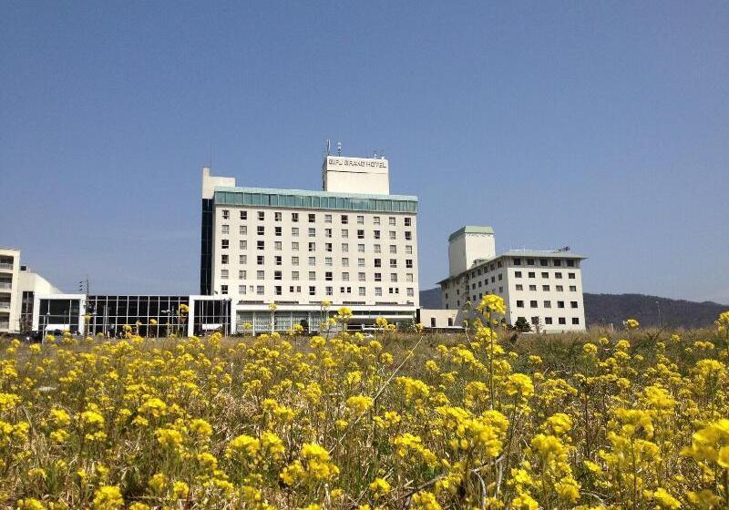 Отель Gifu Grand