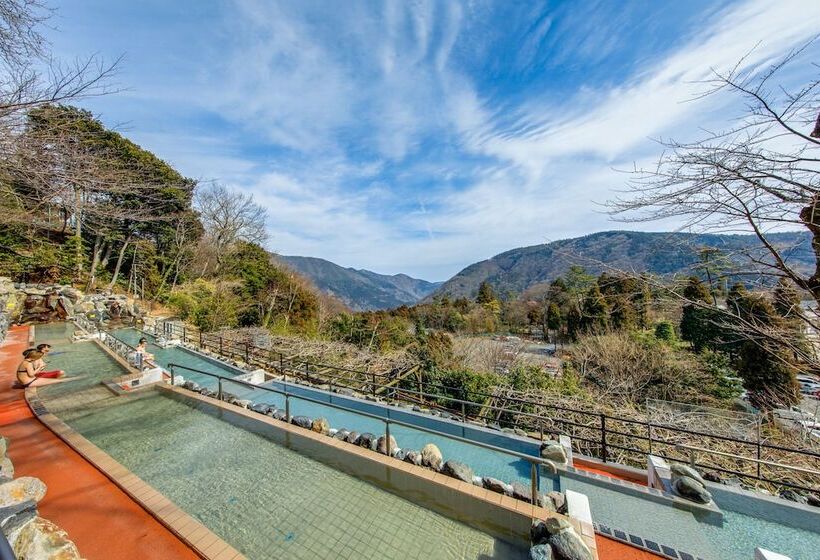 فندق Hakone Kowakien