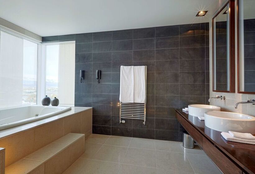 هتل Hilton Reykjavik Nordica