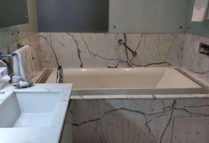 فندق Jaypee Vasant Continental