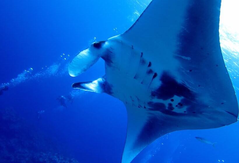 בית מלון כפרי En Resort Kumejima Eef Beach