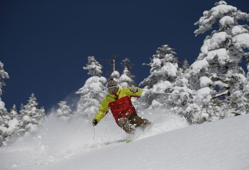 فندق Manza Prince