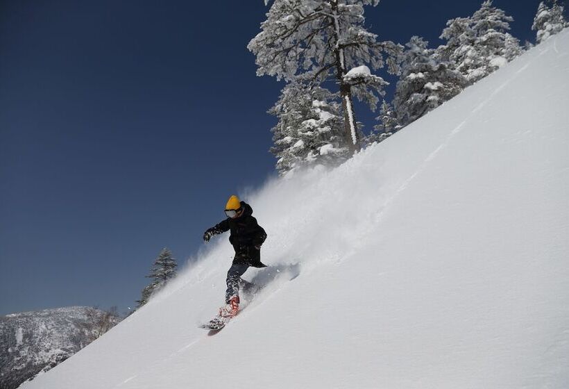 فندق Manza Prince