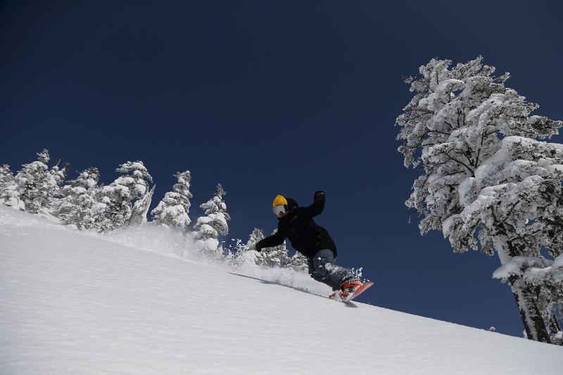 فندق Manza Prince