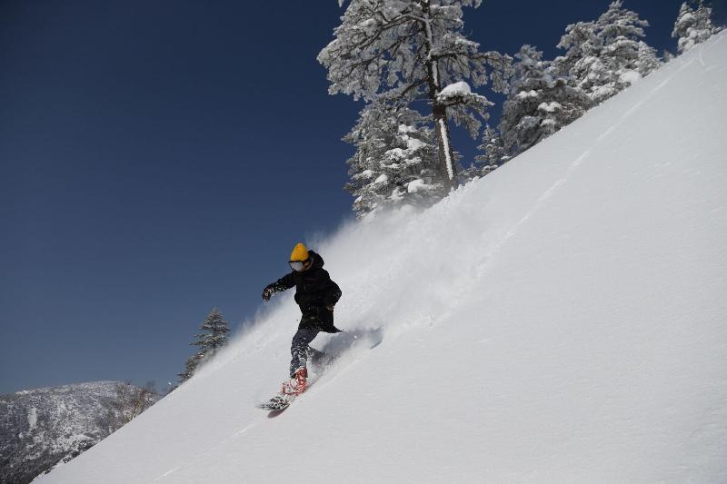 فندق Manza Prince