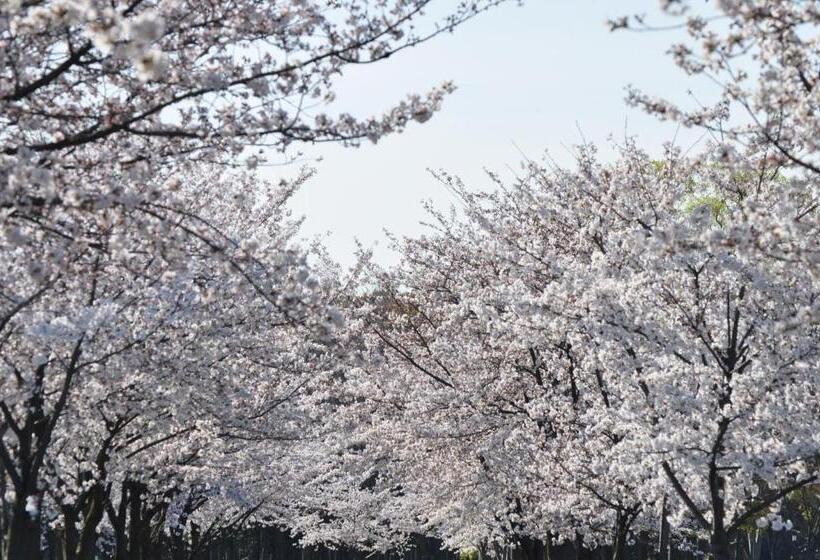 酒店 New Otani Osaka