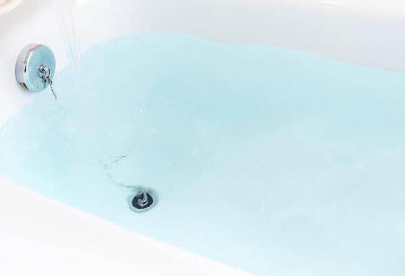 酒店 New Otani Osaka