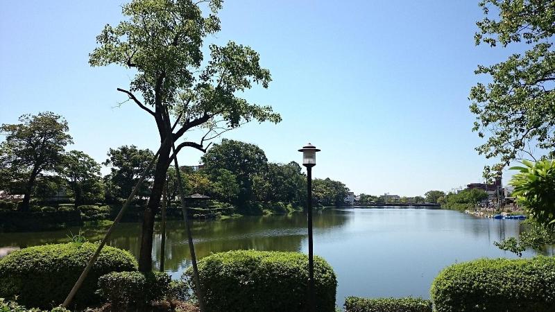 בית מלון כפרי New Otani Saga