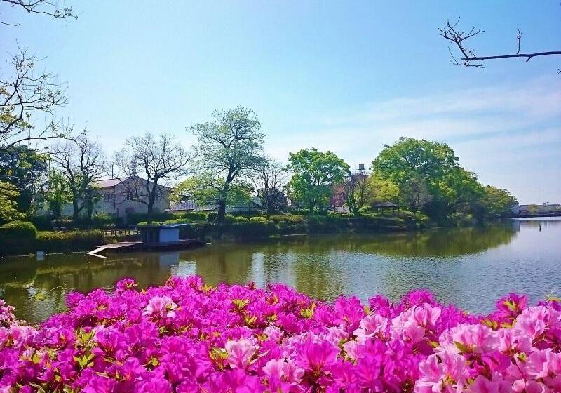 בית מלון כפרי New Otani Saga