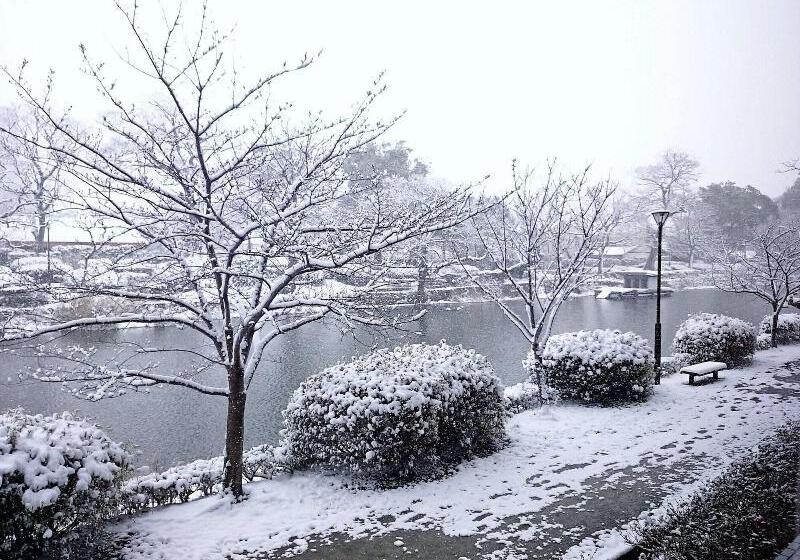 בית מלון כפרי New Otani Saga