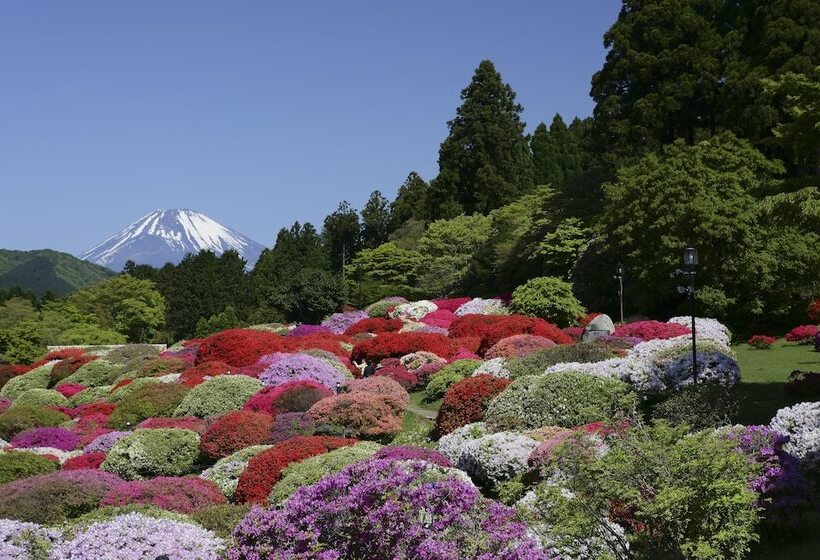 Odakyu Hotel De Yama