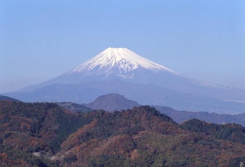 فندق Ohito