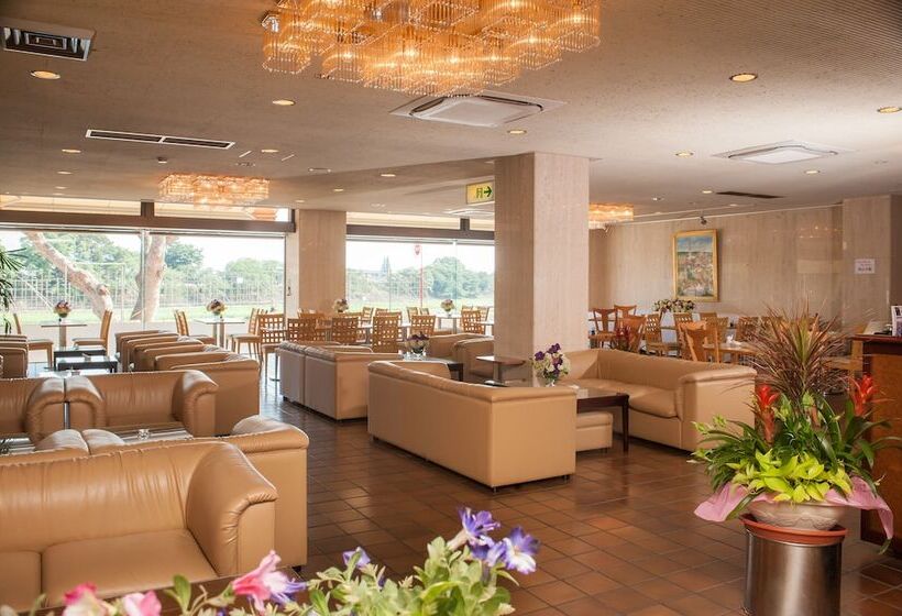 בית מלון כפרי Okazaki New Grand