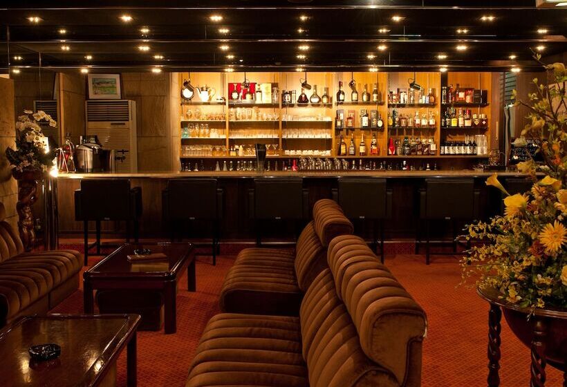 בית מלון כפרי Okazaki New Grand