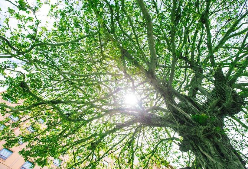 فندق Okinawa Harborview