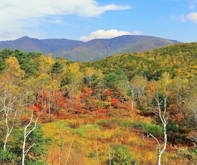 هتل Okushiga Kogen