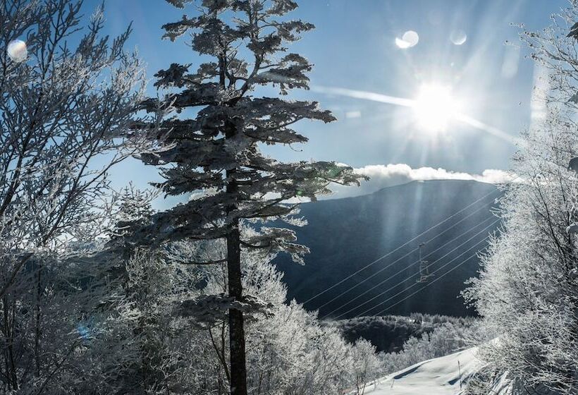 هتل Okushiga Kogen