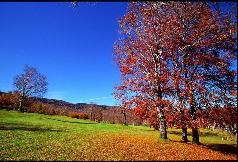 هتل Okushiga Kogen